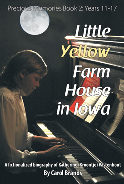PM2 Little Yellow Farm House in Iowa