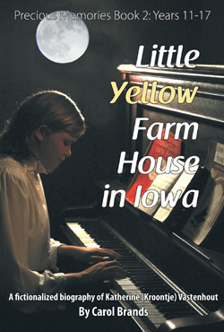 PM2 Little Yellow Farm House in Iowa PM2 Little Yellow Farm House in Iowa