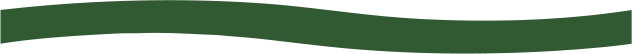 green1-rule-05l green1-rule-05l